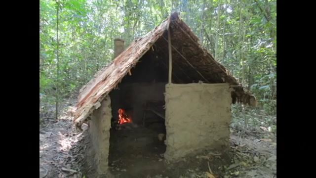 Building a primitive wattle and daub hut from scratch