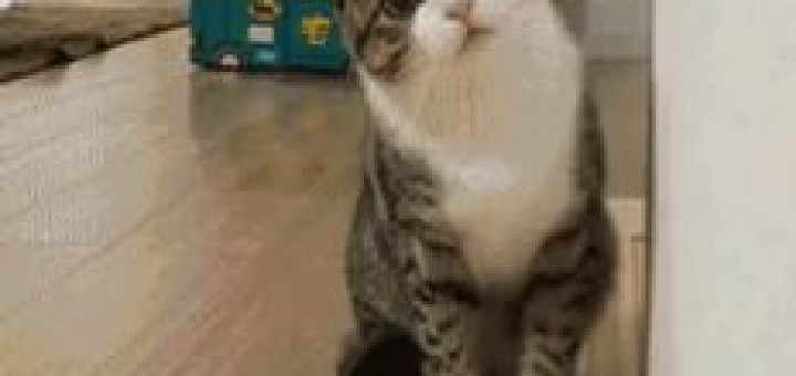 친구가 먹을거 가지고 있을 때