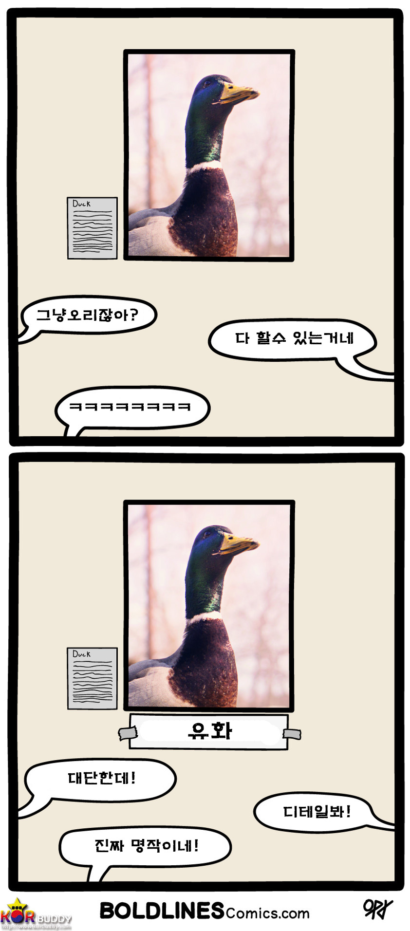 볼드라인즈 코믹스 웹툰 19화 (boldlines comics)