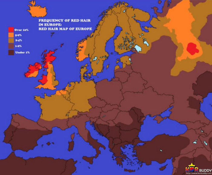 지도로 보는 세계의 통계들