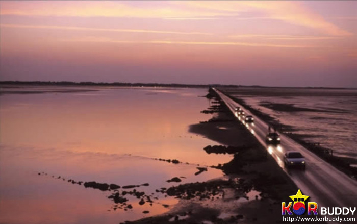 세상에서 가장 위험한 도로들