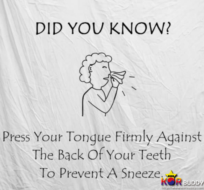 인생을 좀 더 편하게 만들어주는 인생의 치트키! 3편