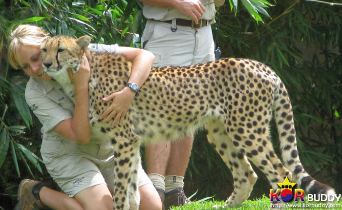 동물을 사랑한다면, 이 직업을 선택하세요