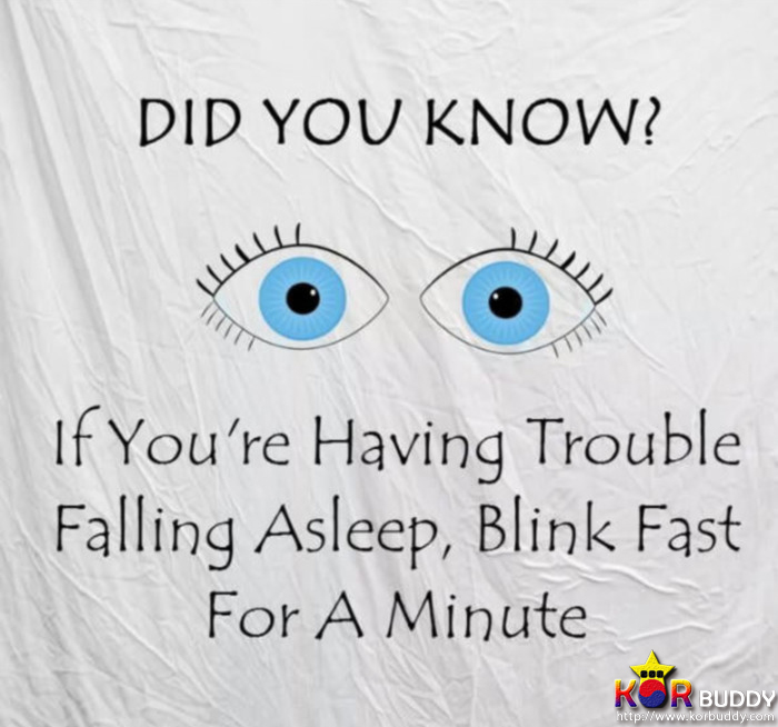 인생을 좀 더 편하게 만들어주는 인생의 치트키! 3편