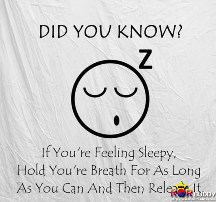 인생을 좀 더 편하게 만들어주는 인생의 치트키! 3편