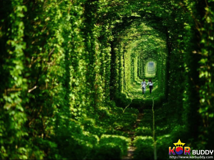 신비하고 아름다운 세계 속 버려진 장소들