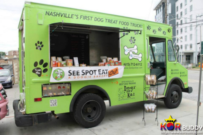 동물을 사랑한다면, 이 직업을 선택하세요