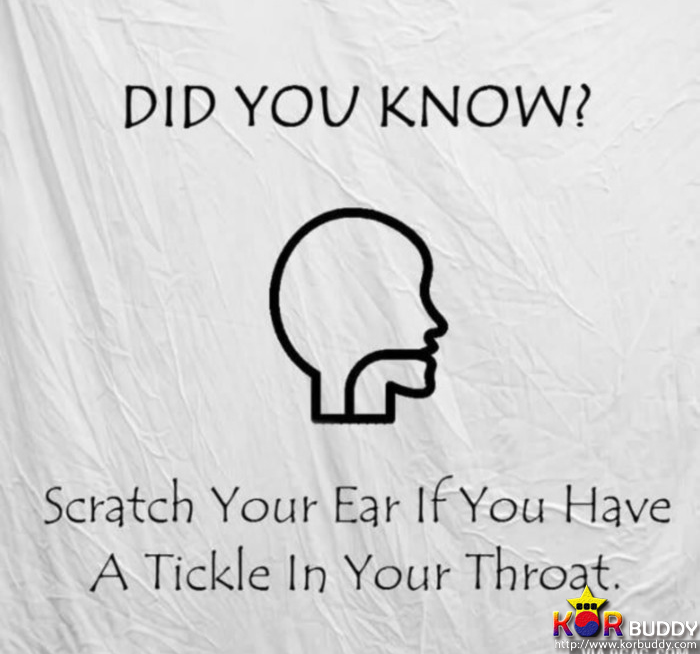 인생을 좀 더 편하게 만들어주는 인생의 치트키! 3편