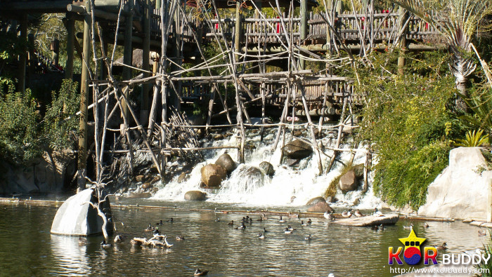 동물을 사랑한다면, 이 직업을 선택하세요