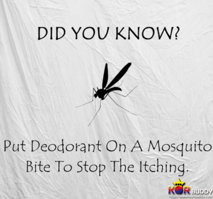 인생을 좀 더 편하게 만들어주는 인생의 치트키! 3편