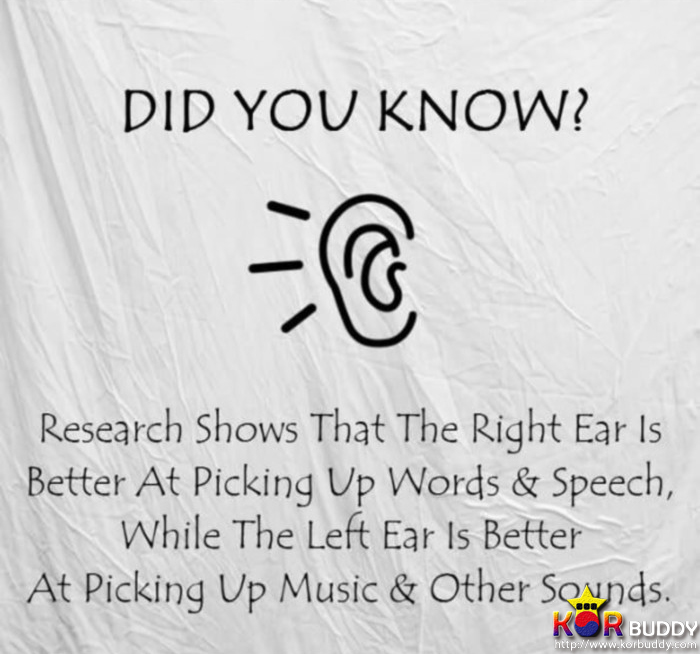 인생을 좀 더 편하게 만들어주는 인생의 치트키! 3편